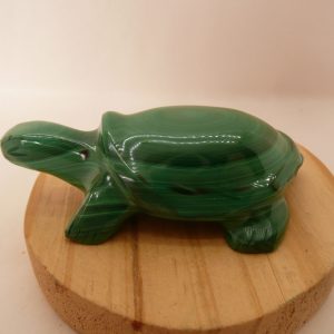 Tortue en malachite du Congo (RDC)