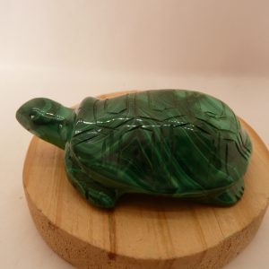 Tortue en malachite du Congo (RDC)