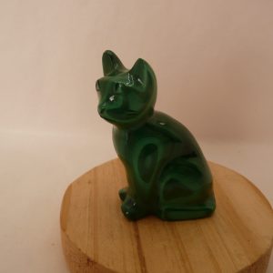 Chat en malachite du Congo (RDC)