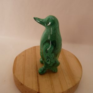 Pingouin en malachite du Congo (RDC)