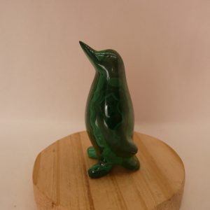 Pingouin en malachite du Congo (RDC)