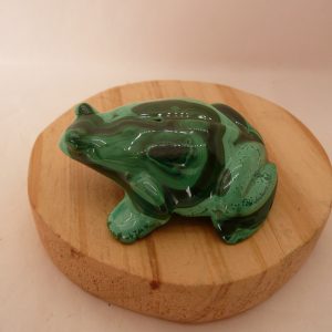 Grenouille en malachite du Congo (RDC)