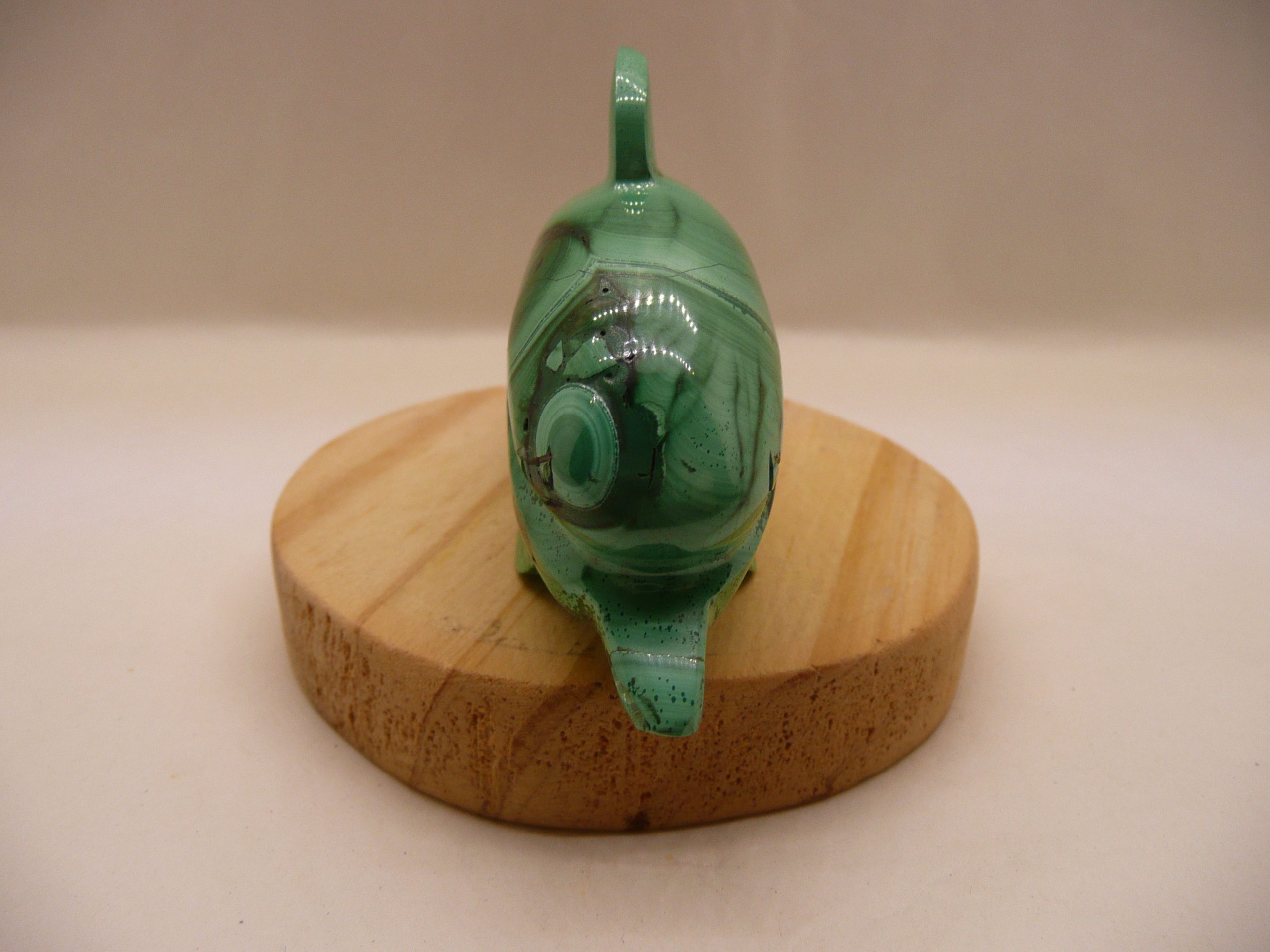 Dauphin en malachite du Congo (RDC)