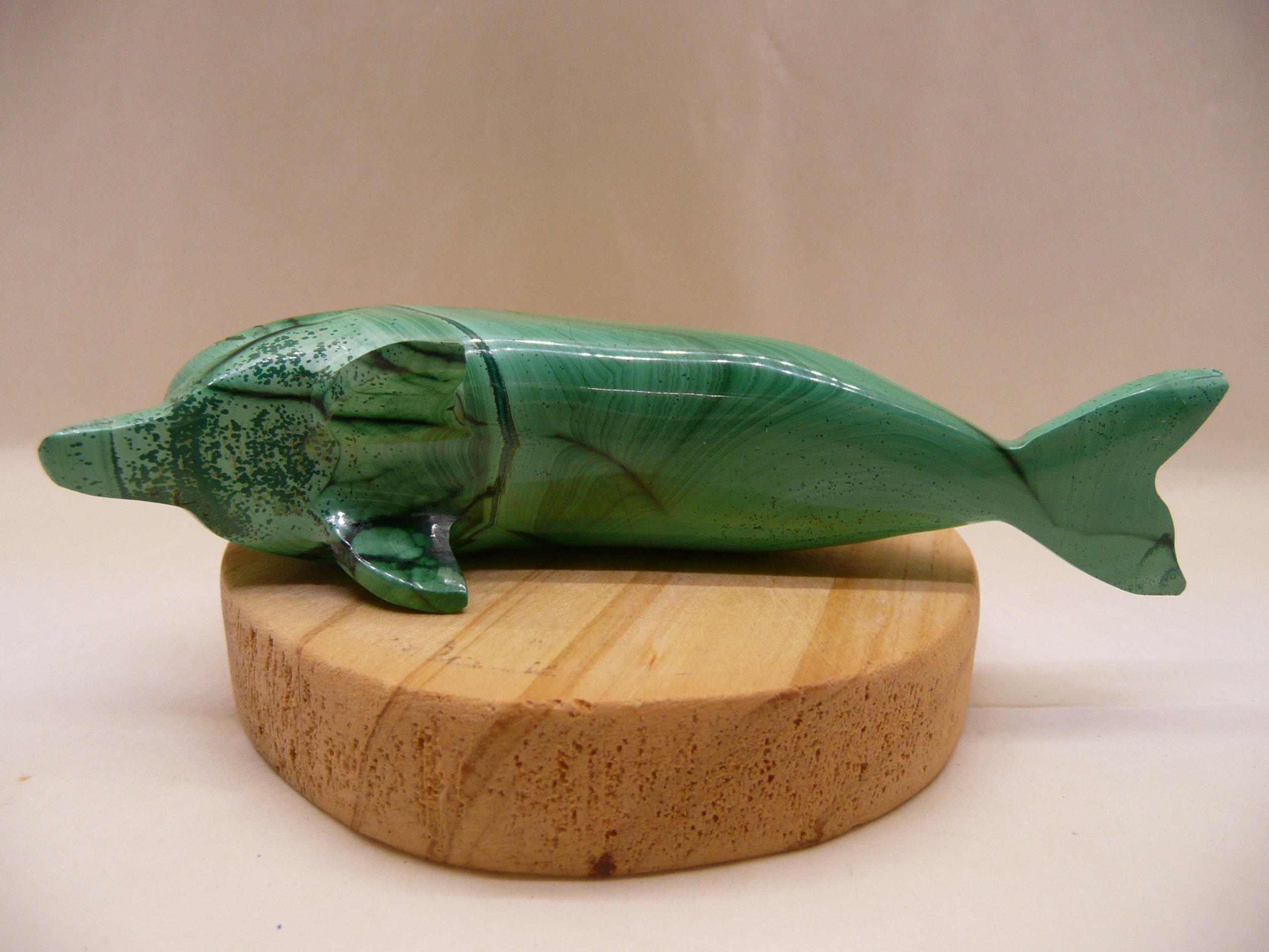 Dauphin en malachite du Congo (RDC)
